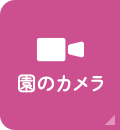 園のカメラ